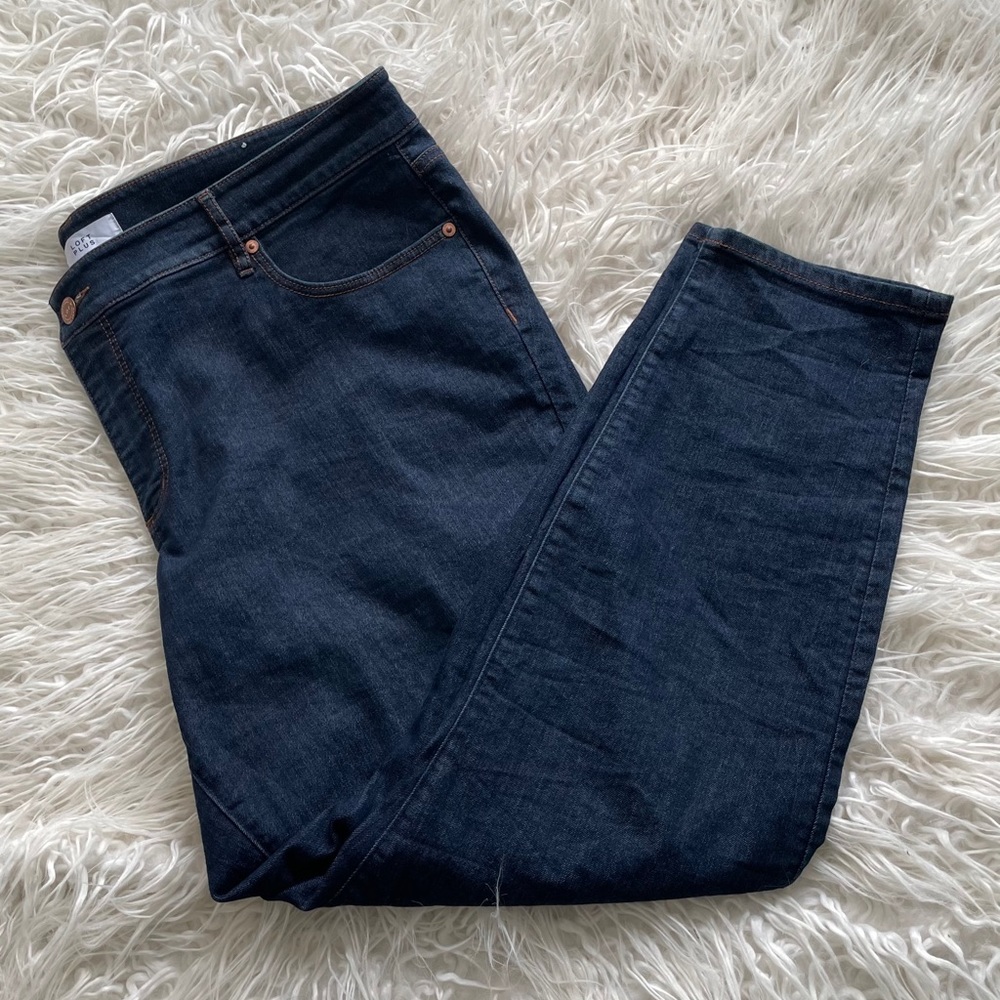 Loft Plus Modern Skinny Jean
